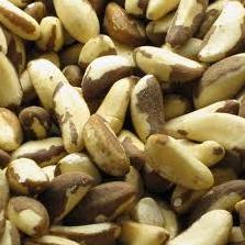 ΚΡΑΝΜΠΕΡΙ (Κωδ.: 03)